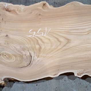 Caucasian Elm, burl slab, approx. 1550 x 710/550 x 48 mm, 13698