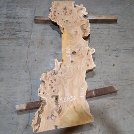 Kaukasische Rüster Maserplatte, ca. 1550 x 420 x 48 mm, 13697