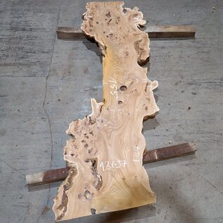 Caucasian Elm, burl slab, approx. 1550 x 420 x 48 mm, 13697