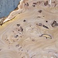 Caucasian Elm, burl slab, approx. 1550 x 420 x 48 mm, 13697