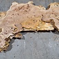 Caucasian Elm, burl slab, approx. 1550 x 420 x 48 mm, 13697