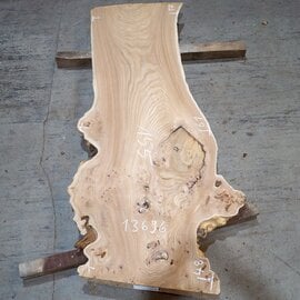 Caucasian Elm, burl slab, approx. 1550 x 500 x 48 mm, 13696