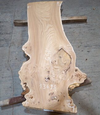 Kaukasische Rüster Maserplatte, ca. 1550 x 500 x 48 mm, 13696