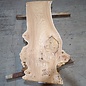 Caucasian Elm, burl slab, approx. 1550 x 500 x 48 mm, 13696