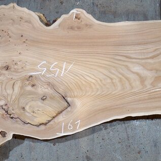 Caucasian Elm, burl slab, approx. 1550 x 500 x 48 mm, 13696
