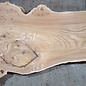 Caucasian Elm, burl slab, approx. 1550 x 500 x 48 mm, 13696