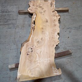 Caucasian Elm, burl slab, approx. 1550 x 500 x 48 mm, 13695