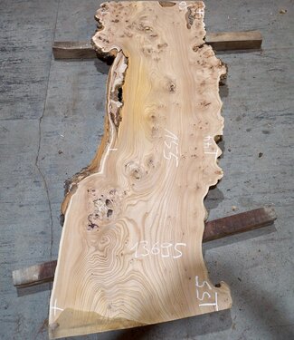 Caucasian Elm, burl slab, approx. 1550 x 500 x 48 mm, 13695