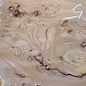 Caucasian Elm, burl slab, approx. 1550 x 500 x 48 mm, 13696