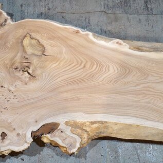 Caucasian Elm, burl slab, approx. 1550 x 500 x 48 mm, 13696