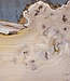 Caucasian Elm, burl slab, approx. 1550 x 500 x 48 mm, 13695
