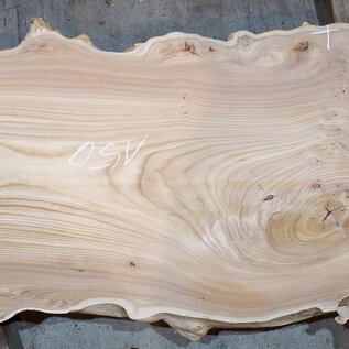 Caucasian Elm, burl slab, approx. 1500 x 550/720 x 48 mm, 13694