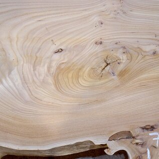 Caucasian Elm, burl slab, approx. 1500 x 550/720 x 48 mm, 13694