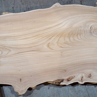 Caucasian Elm, burl slab, approx. 1500 x 550/720 x 48 mm, 13694