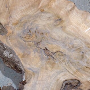 Caucasian walnut, slab, approx.. 1270 x 900/760 x 70 mm, 13693