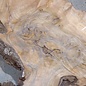 Caucasian walnut, slab, approx.. 1270 x 900/760 x 70 mm, 13693