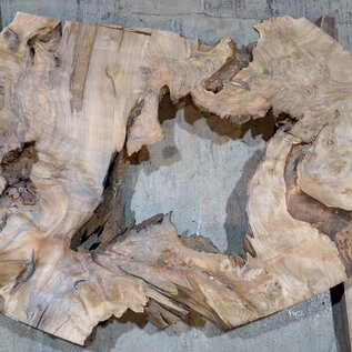 Caucasian walnut, slab, approx.. 1270 x 900/760 x 70 mm, 13693