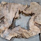Caucasian walnut, slab, approx.. 1270 x 900/760 x 70 mm, 13693