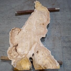 Caucasian Elm, burl slab, approx. 1600 x 470 x 40 mm, 13692