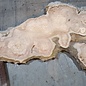 Caucasian Elm, burl slab, approx. 1600 x 470 x 40 mm, 13692