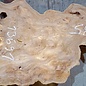 Caucasian Elm, burl slab, approx. 1850 x 460 x 40 mm, 13691
