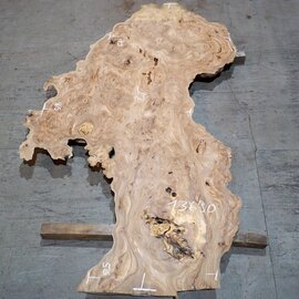 Kaukasische Rüster Maserplatte, ca. 2000 x 790 x 45 mm, 13690