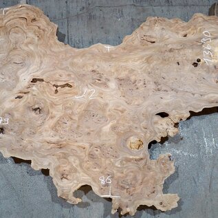 Caucasian Elm, burl slab, approx. 2000 x 790 x 45 mm, 13690