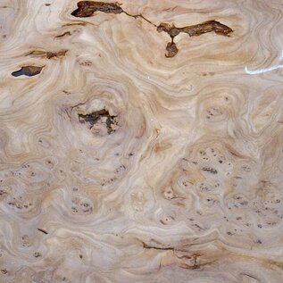 Caucasian Elm, burl slab, approx. 2000 x 790 x 45 mm, 13690