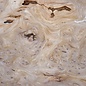 Caucasian Elm, burl slab, approx. 2000 x 790 x 45 mm, 13690