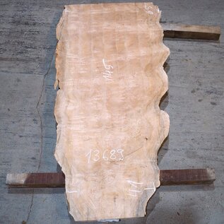 Sapeli Mahogany table top, approx. 1450 x 650/410 x 32 mm, 13689