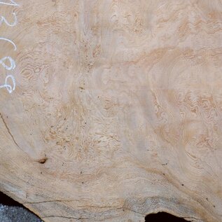 Sapeli Mahogany table top, approx. 1450 x 650/410 x 32 mm, 13689