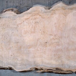 Sapeli Mahogany table top, approx. 1450 x 650/410 x 32 mm, 13689