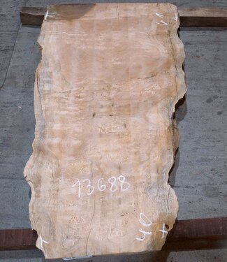 Sapeli Mahogany table top, approx. 1150 x 610/400 x 32 mm, 13688