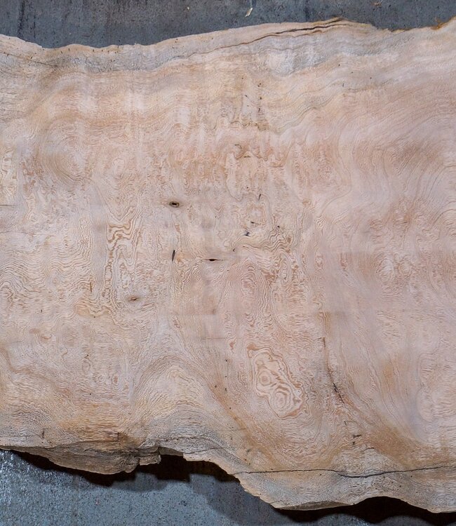 Sapeli Mahagoni, Tischplatte, ca. 1150 x 610/400 x 32 mm, 13688