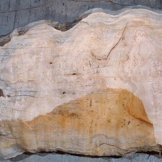 Sapeli Mahogany table top, approx. 1150 x 610/400 x 32 mm, 13688