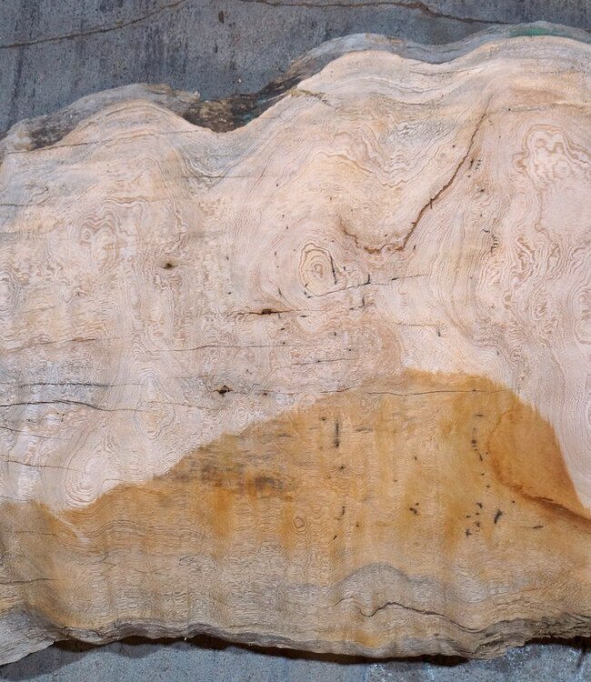 Sapeli Mahagoni, Tischplatte, ca. 1150 x 610/400 x 32 mm, 13688