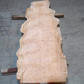 Sapeli Mahagoni, Tischplatte, ca. 1700 x 390/730 x 32 mm, 13687