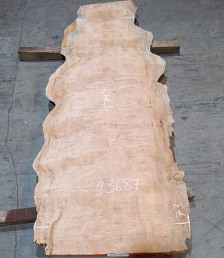 Sapeli Mahogany table top, approx. 1700 x 390/730 x 32 mm, 13687