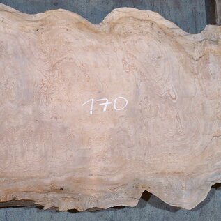 Sapeli Mahogany table top, approx. 1700 x 390/730 x 32 mm, 13687