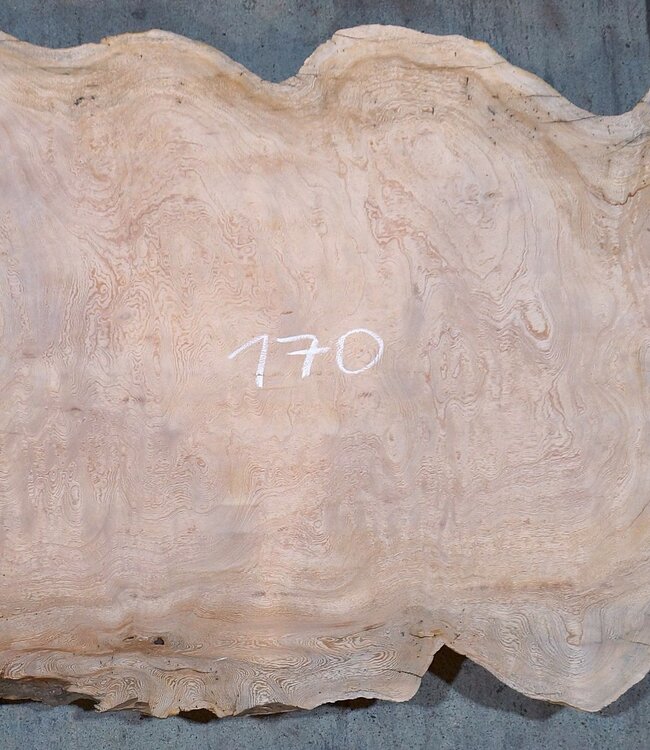 Sapeli Mahagoni, Tischplatte, ca. 1700 x 390/730 x 32 mm, 13687