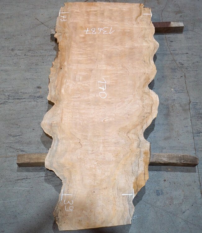 Sapeli Mahagoni, Tischplatte, ca. 1700 x 390/730 x 32 mm, 13687