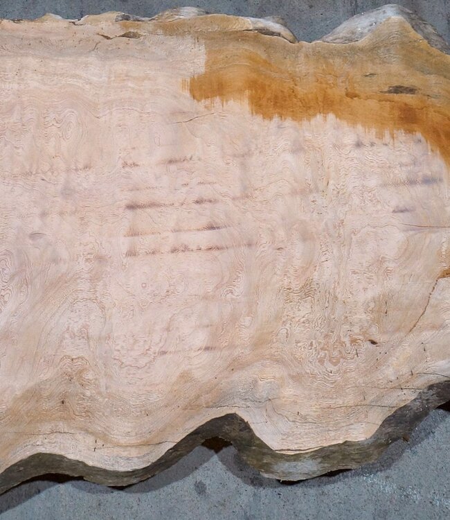 Sapeli Mahogany table top, approx. 1700 x 390/730 x 32 mm, 13687