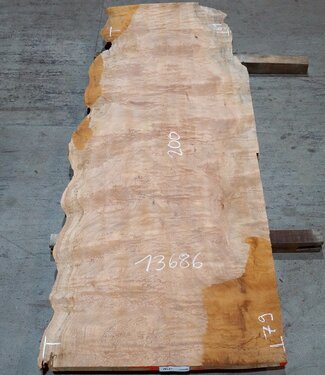 Sapeli Mahagoni, Tischplatte, ca. 2000 x 790/610 x 32 mm, 13686