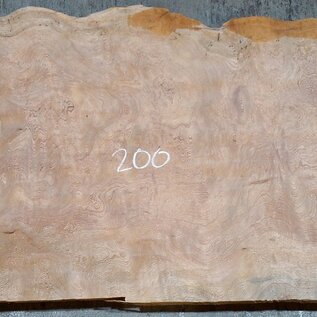 Sapeli Mahagoni, Tischplatte, ca. 2000 x 790/610 x 32 mm, 13686