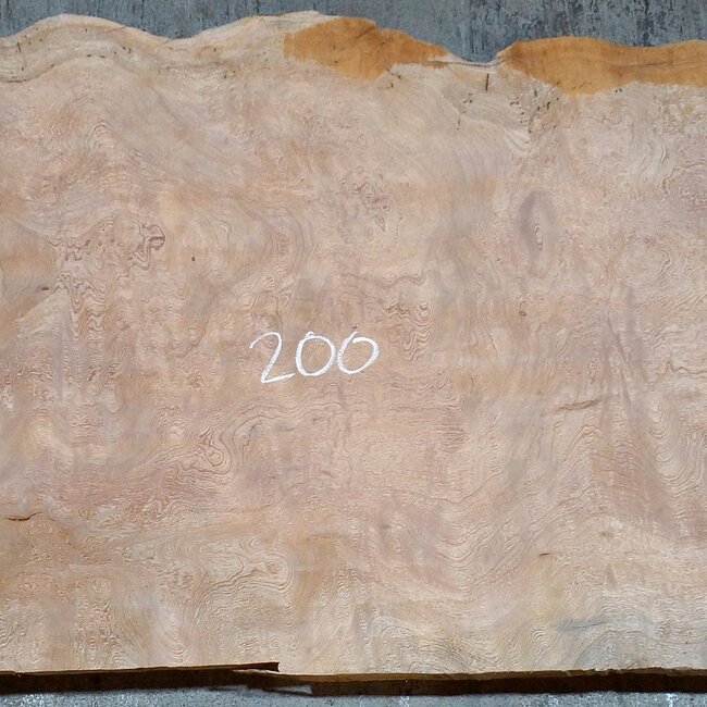 Sapeli Mahogany table top, approx. 2000 x 790/610 x 32 mm, 13686