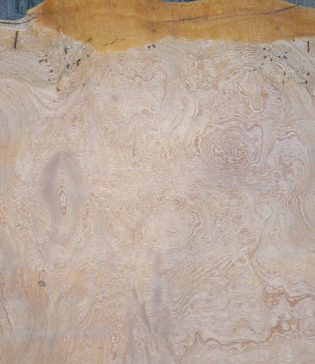 Sapeli Mahagoni, Tischplatte, ca. 2000 x 790/610 x 32 mm, 13686