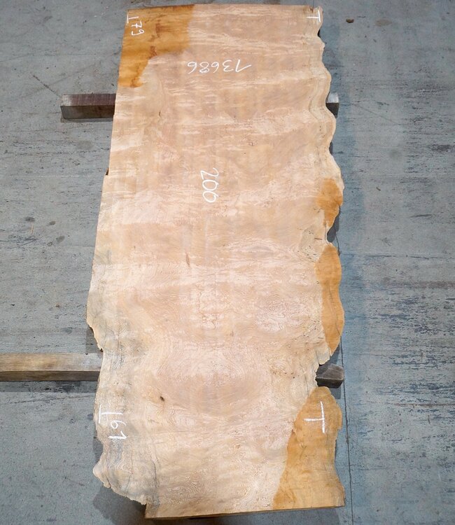 Sapeli Mahagoni, Tischplatte, ca. 2000 x 790/610 x 32 mm, 13686