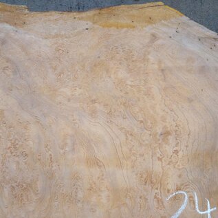 Sapeli Mahagoni, Tischplatte, ca. 2450 x 810/590 x 35 mm, 13685