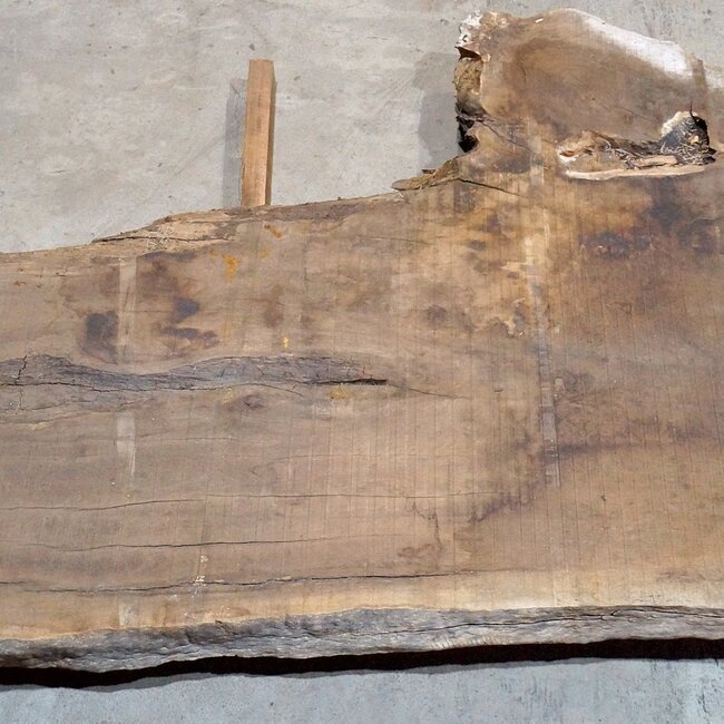 Kaukasischer Nussbaum, Tischplatte, ca. 4700 x 1300 x 80 mm, 13684