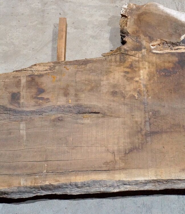 Kaukasischer Nussbaum, Tischplatte, ca. 4700 x 1300 x 80 mm, 13684